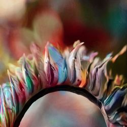 close-up