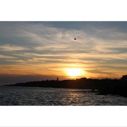 Silhouette birds flying over lake against sky during sunset