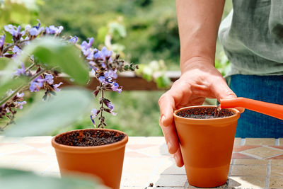 Woman sowing medicinal or aromatic herbs in clay pot on balcony. home planting and food growing. 