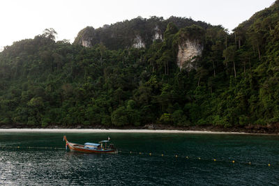 People sailing on river by trees on mountain