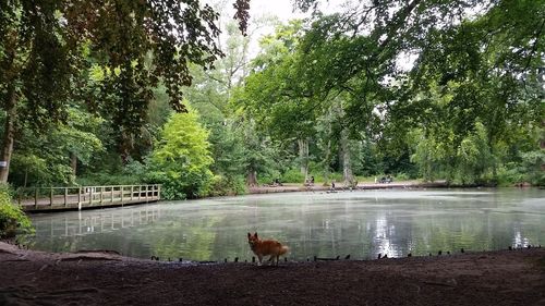 View of a lake