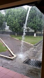 Water splashing in fountain against trees