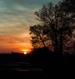Silhouette trees on field against sky during sunset