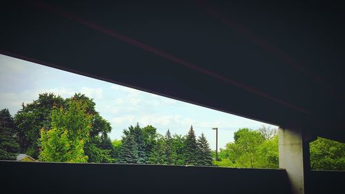 Low angle view of trees against cloudy sky