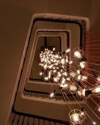 Low angle view of illuminated flowers