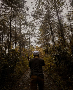 Rear view of man walking in forest