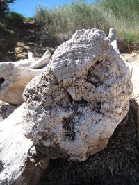 Close-up of rock against sky