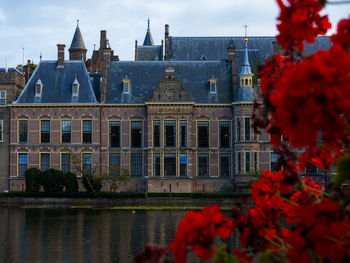 The hague binnenhof palace beside the hohvijfer canal. netherlands - dutch parliament buildings.