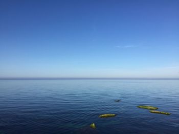 Scenic view of sea against clear blue sky