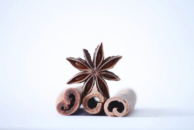 Close-up of coffee beans against white background