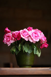 Close-up of pink rose