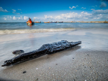 View of driftwood on beach