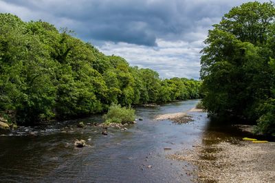 Scenic view of river amidst trees against sky