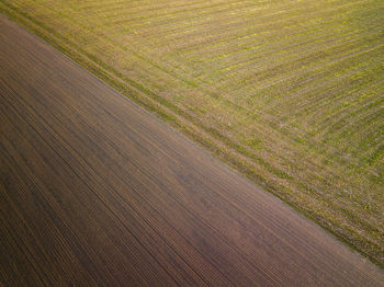 High angle view of field