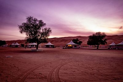 Trees and houses on landscape against sky at sunset