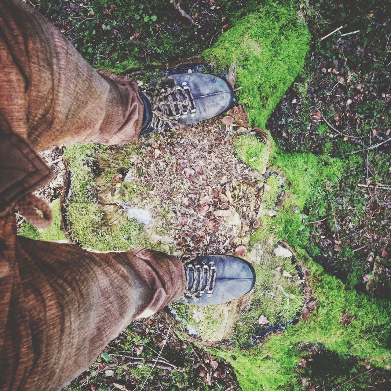 low section, person, shoe, personal perspective, lifestyles, leisure activity, men, standing, grass, field, human foot, high angle view, unrecognizable person, jeans, part of, footwear, outdoors