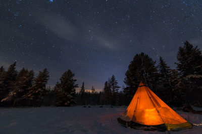 Scenic view of trees in forest against sky at night