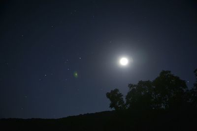 Low angle view of trees at night