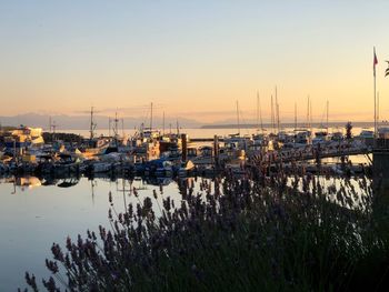 Sailboats moored at harbor during sunset