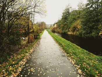 Road amidst trees against sky during autumn