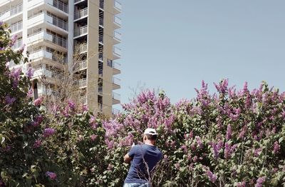 Rear view of man standing by flowering trees