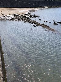 High angle view of birds over sea