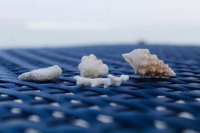Close-up of ice cream over sea against sky