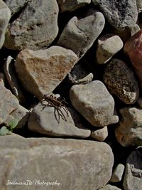 Full frame of stones