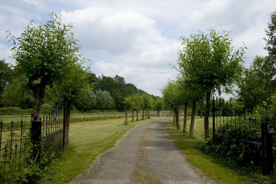 Road amidst trees against sky