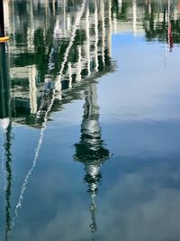 reflection