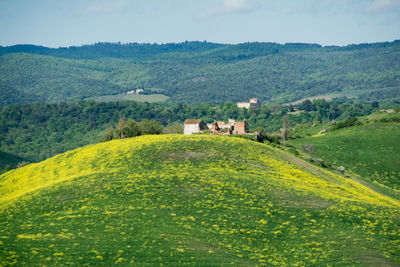 Houses in the field