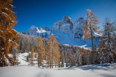 Mount pelmo northern side winter panorama in a sunny day