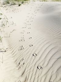 High angle view of footprints on sand at beach