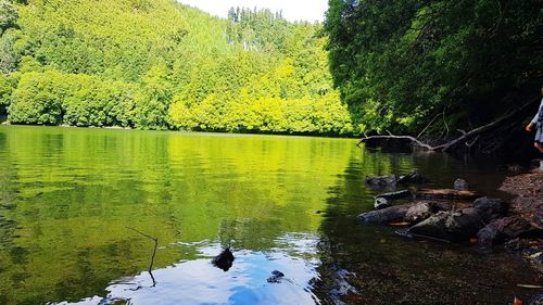 Scenic view of lake