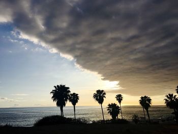 Silhouette palm trees on beach against sky at sunset