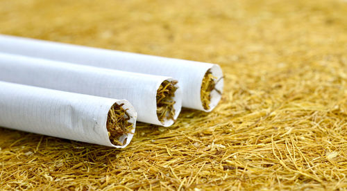 Close-up of cigarettes on tobacco