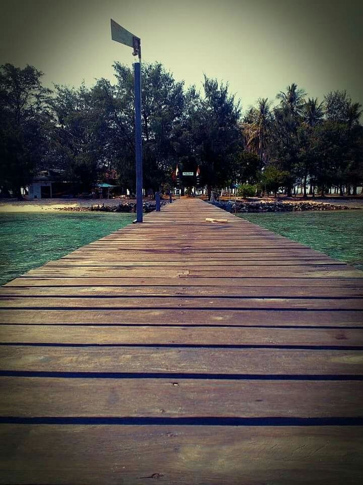 tree, the way forward, railing, wood - material, boardwalk, park - man made space, pier, sky, tranquility, bench, diminishing perspective, footpath, outdoors, built structure, wooden, empty, nature, street light, wood, shadow