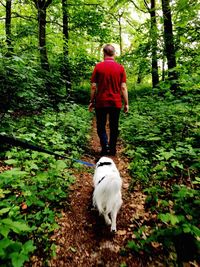 Rear view of dog walking in forest