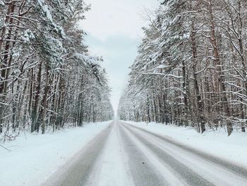 Road amidst trees