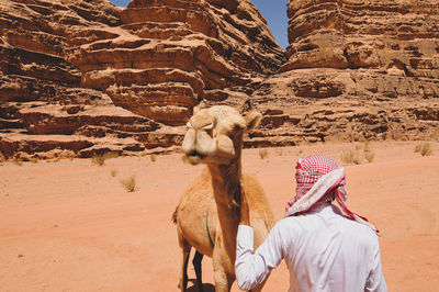 Arabic man seen from behind with a camel in a desert. 