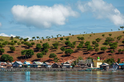 A hill covered by small trees on padar island