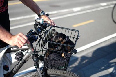 Cropped image of man riding bicycle with dog in basket