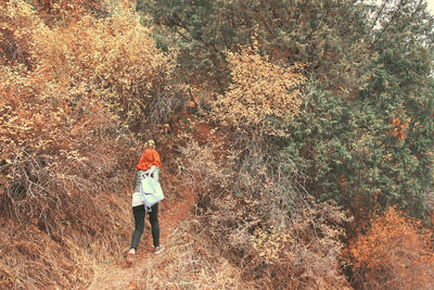 Rear view of woman standing by trees in forest