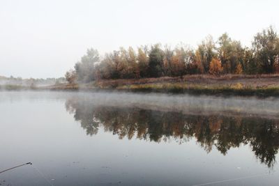 Reflection of trees in calm lake