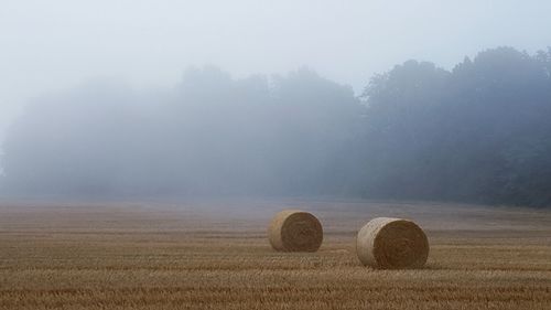 Hay bales on field during foggy weather