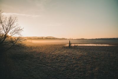 Silhouette person standing on field against sky during sunset