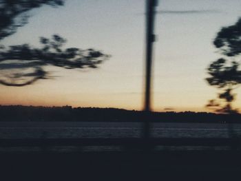 Silhouette of trees on riverbank