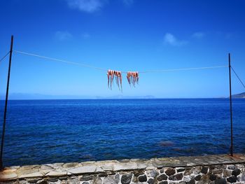 Octopus hanging on rope at beach against sky