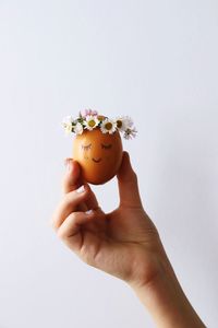 Close-up of human hand holding rose against white background