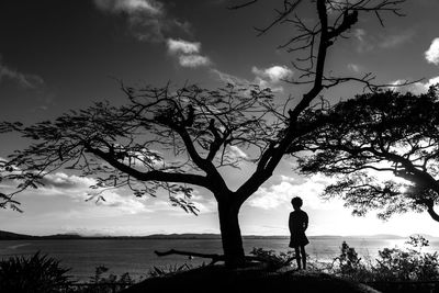 Silhouette man standing by tree against sea